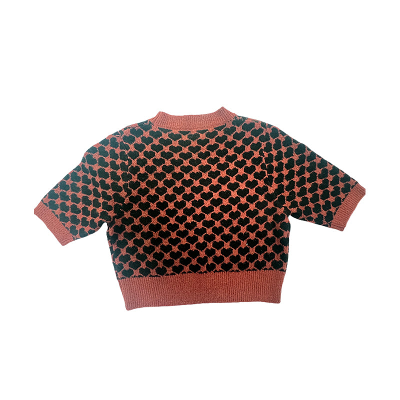 Sanyu Women's Jacquard Round Neck Pullover Retro Knit Sweater Top 1000 Pieces