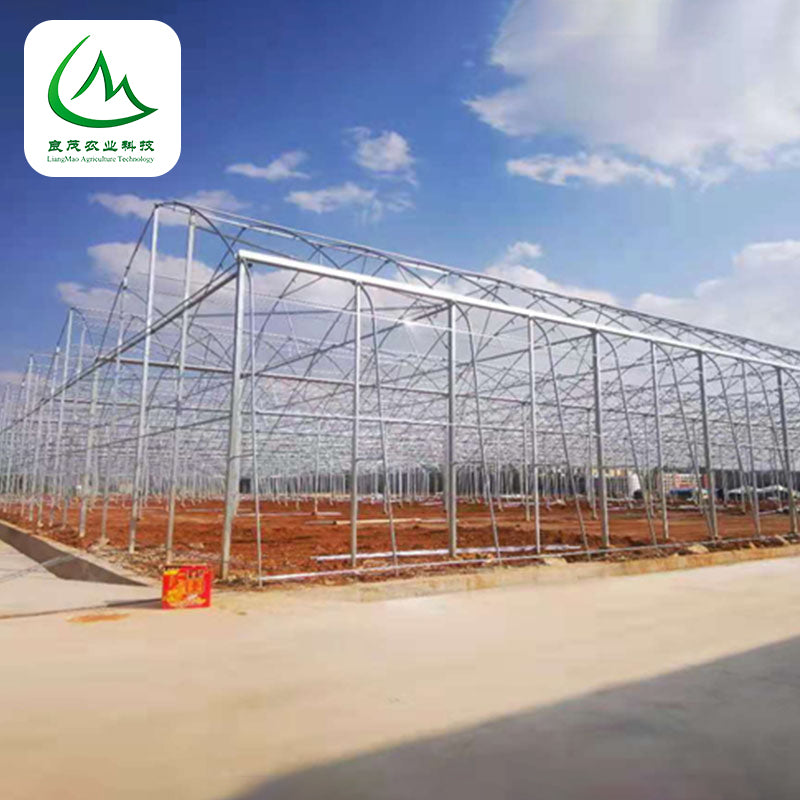 liangmao Butterfly Window Greenhouse(Please consult customer service for prices)