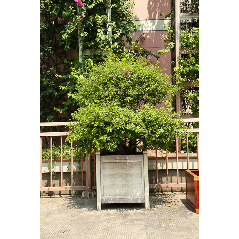 ruichuang Combination flower box(Please consult customer service for pricing)