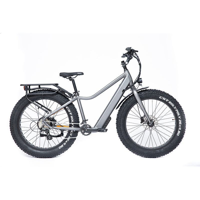 HIFUN Electric bicycle 648-LTF