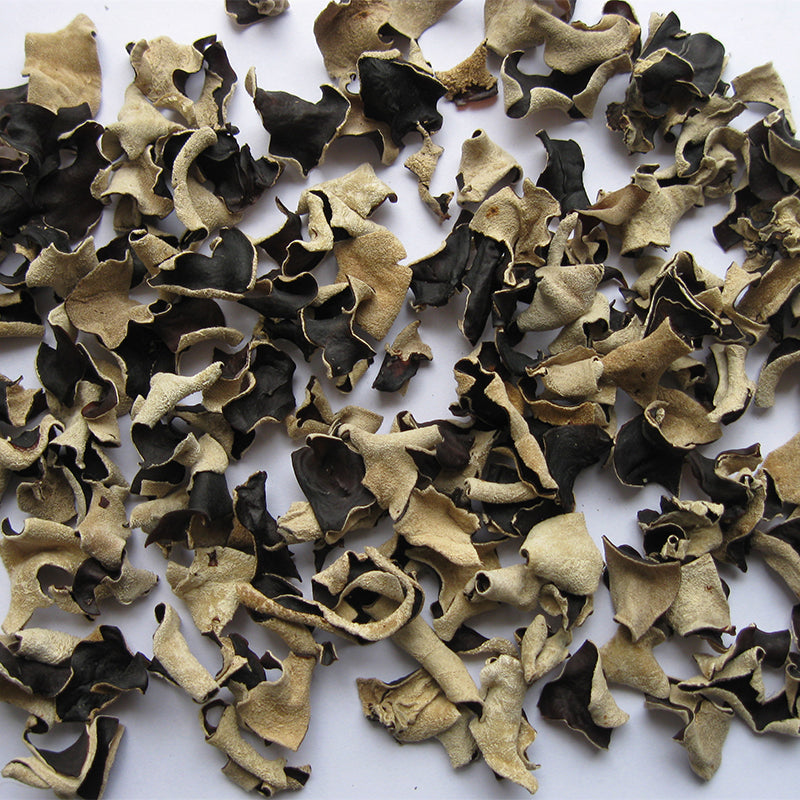 shali edible tree fungus