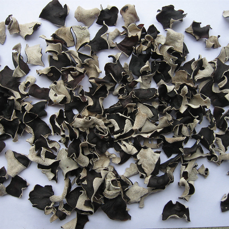 shali edible tree fungus
