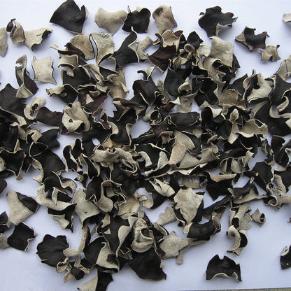 shali edible tree fungus