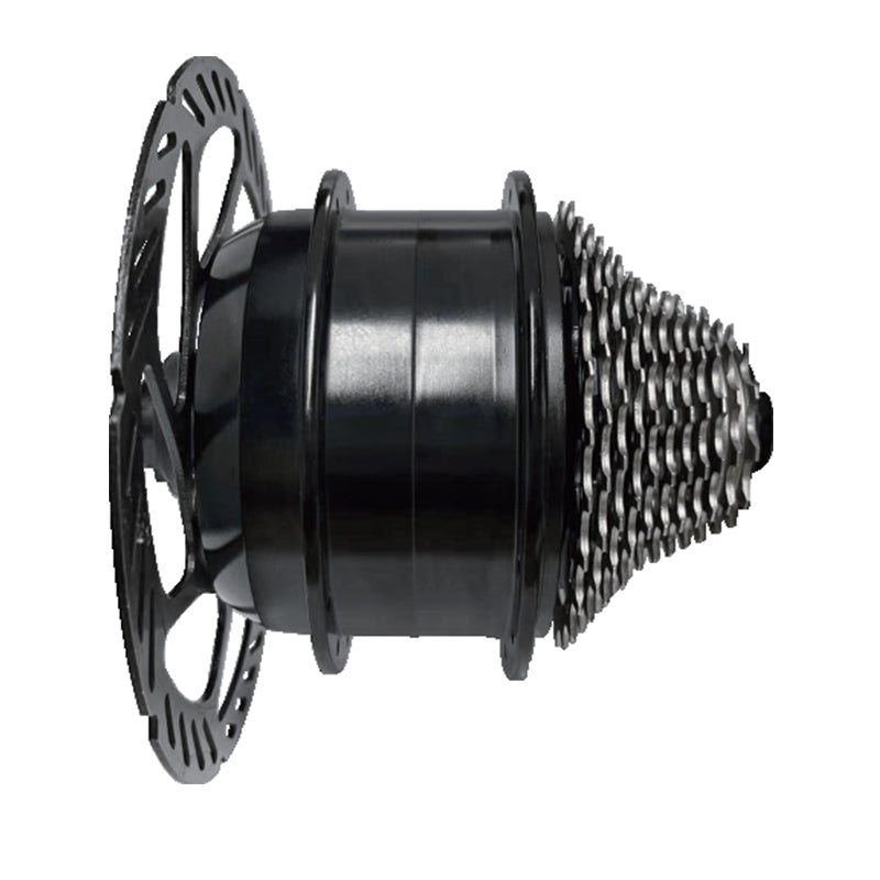 shengyi 250W Thru-Axle Hub Motor  Electric Bike Conversion Kit /100 E-Road Bike system 250W DGW100(Please consult customer service for pricing)High speed kit Modified electric vehicle