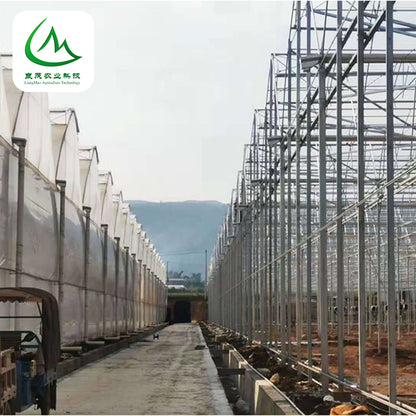 liangmao Butterfly Window Greenhouse(Please consult customer service for prices)