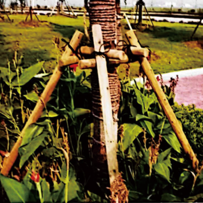 linfeng Wood stake(Please consult customer service for pricing)