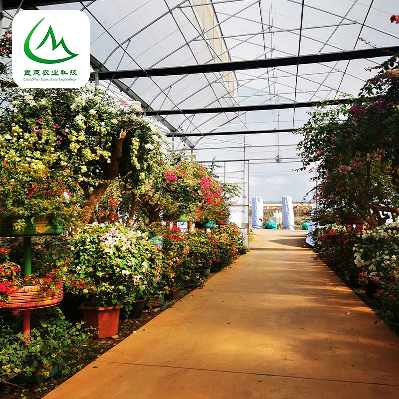 liangmao Sawtooth Greenhouse(Please consult customer service for prices)