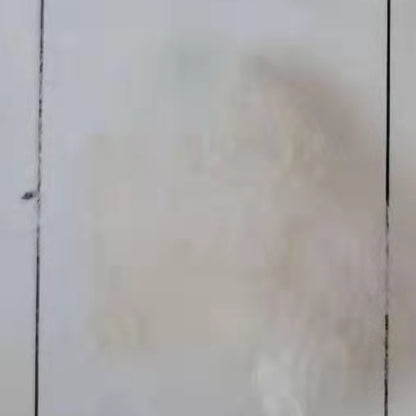 xinsheng PLA white corn fiber