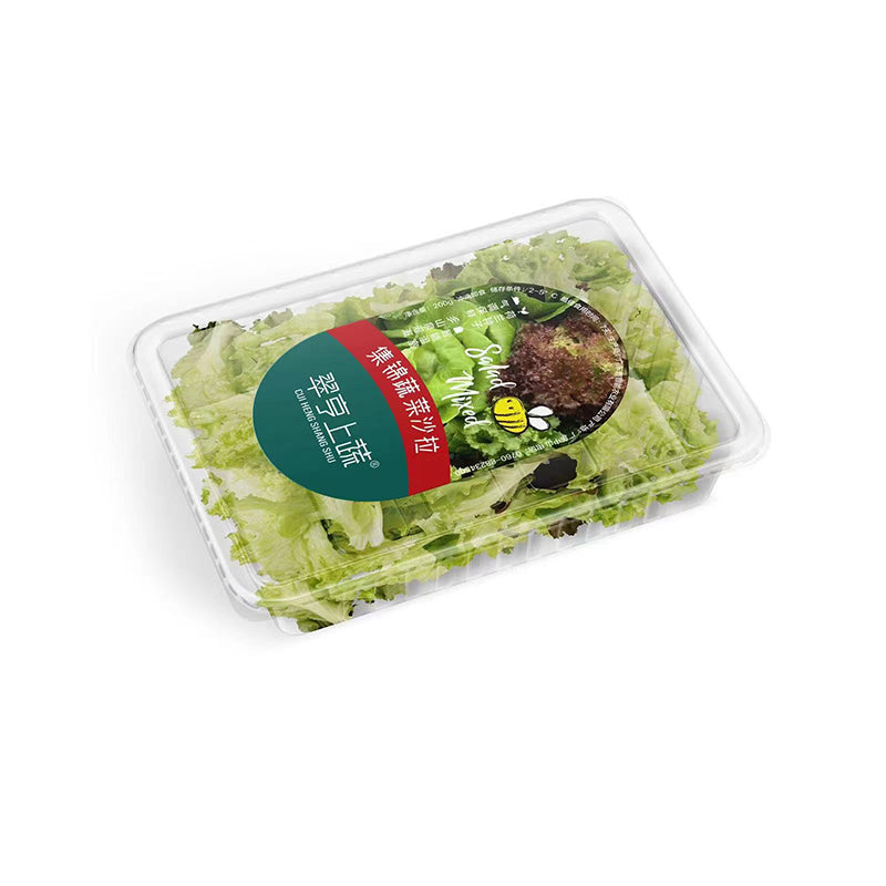 zhineng Garden Vegetables 200g Salad Box MS200BOX