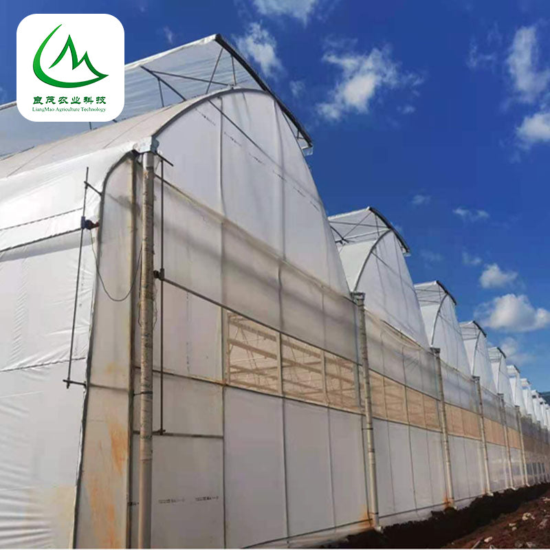 liangmao Butterfly Window Greenhouse(Please consult customer service for prices)