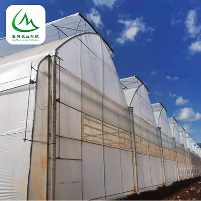 liangmao Butterfly Window Greenhouse(Please consult customer service for prices)