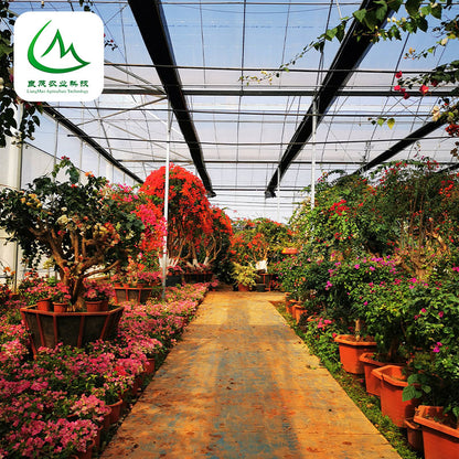 liangmao Sawtooth Greenhouse(Please consult customer service for prices)