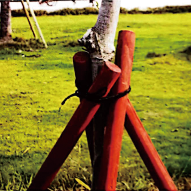 linfeng Wood stake(Please consult customer service for pricing)