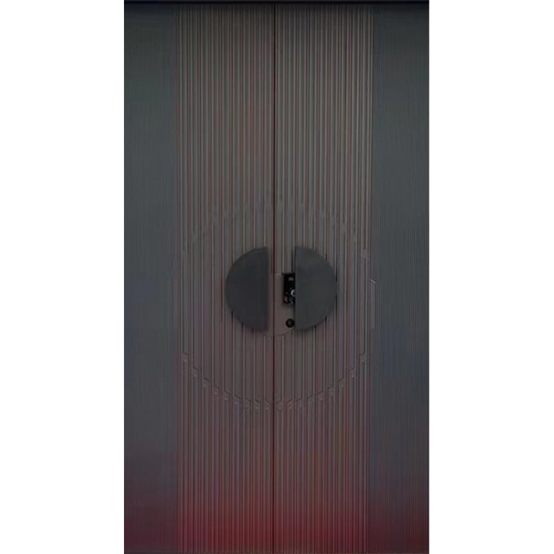 tongluohan Modern Simplicity Fine Carving Armored Door