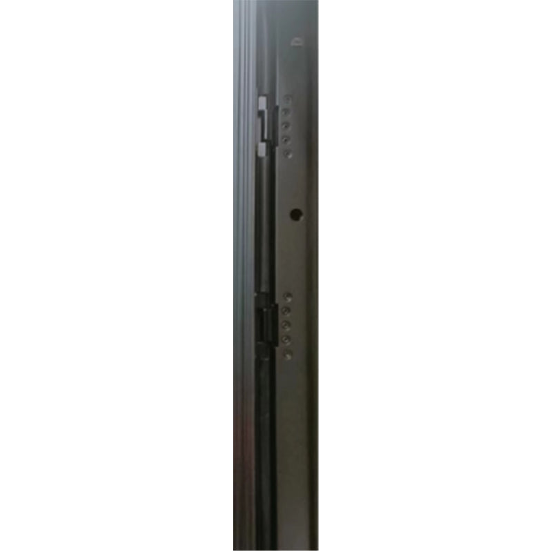tongluohan Modern Simplicity Fine Carving Armored Door