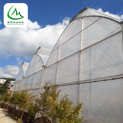 liangmao Butterfly Window Greenhouse(Please consult customer service for prices)