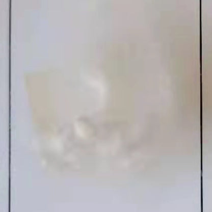 xinsheng   White flame retardant fiber