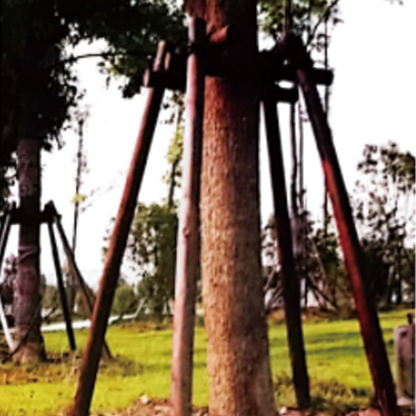 linfeng Wood stake(Please consult customer service for pricing)