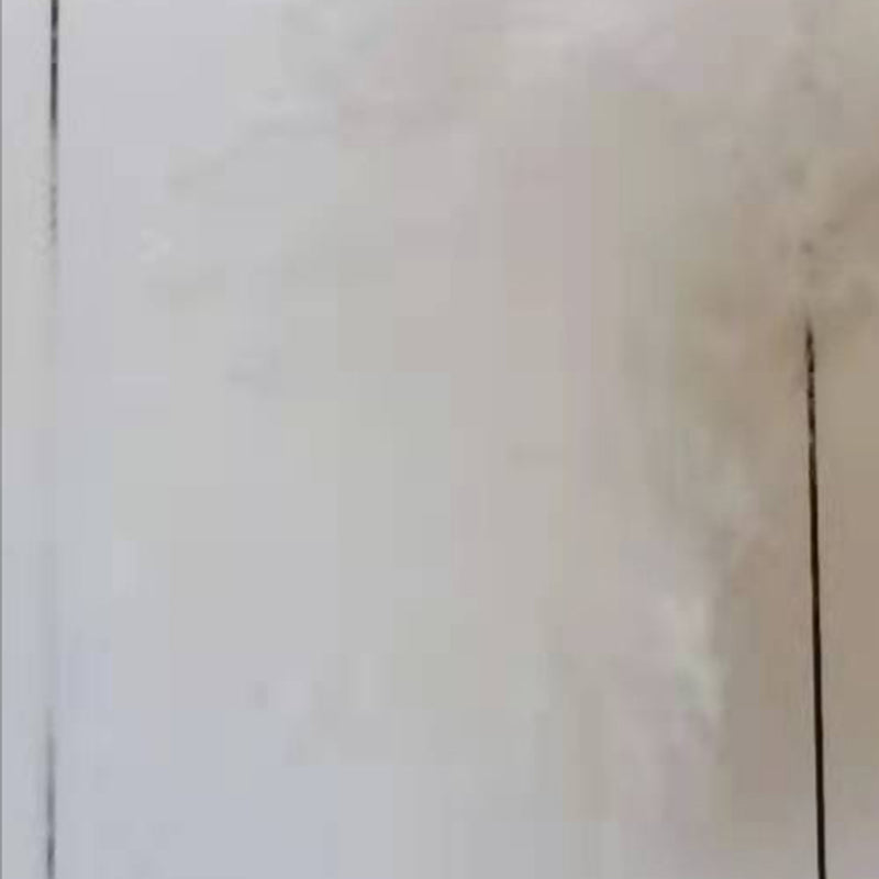 xinsheng   White flame retardant fiber