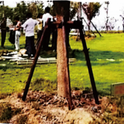 linfeng Wood stake(Please consult customer service for pricing)