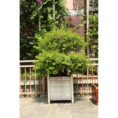 ruichuang Combination flower box(Please consult customer service for pricing)