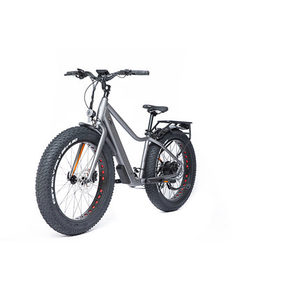 HIFUN Electric bicycle 648-LTF