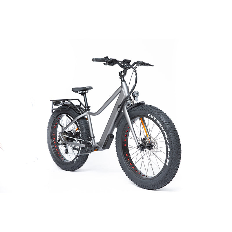 HIFUN Electric bicycle 648-LTF