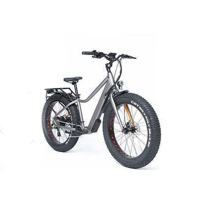 HIFUN Electric bicycle 648-LTF