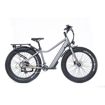 HIFUN Electric bicycle 648-LTF