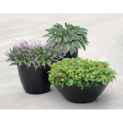 xuwen Flower box(Please consult customer service for prices)